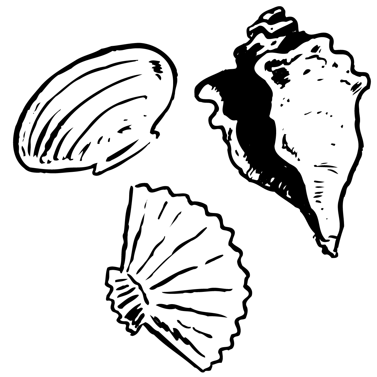 Shells clip art seashell cartoon clipart seashell cartoon vector 2