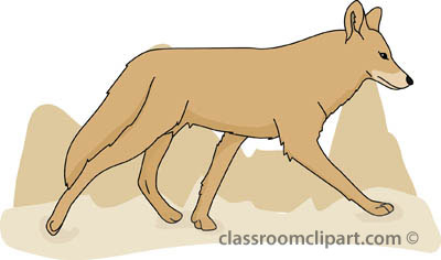 Coyote clipart coyote 2 clipart