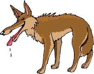 Coyote clipart free clipart images