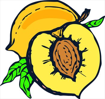 Free peaches clipart free clipart graphics images and photos