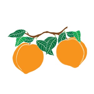 Fuzzy peaches clip art images free clipart images