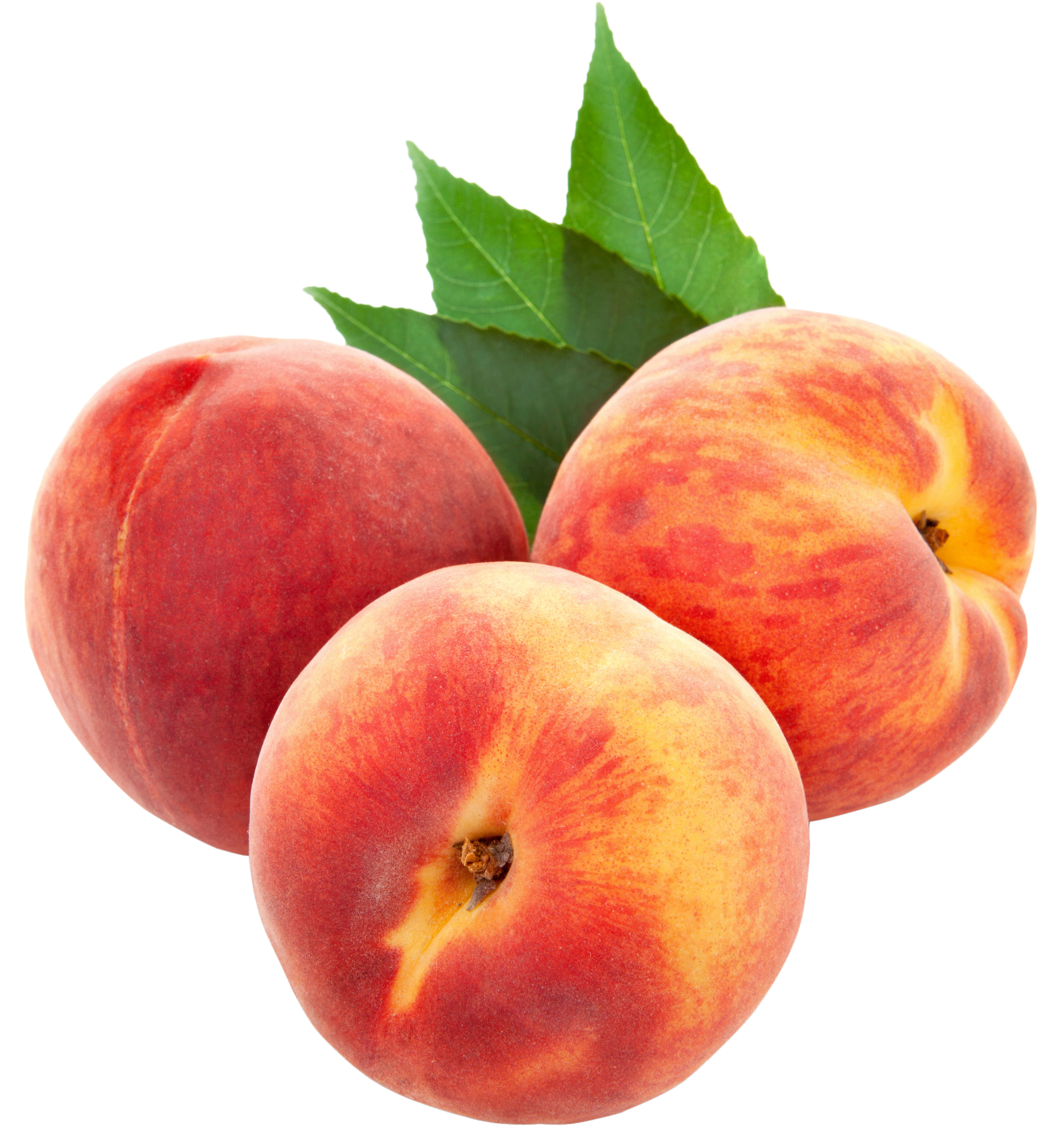 Large peaches clipart