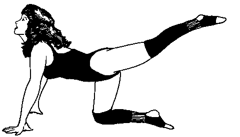 Fitness clipart free clipart images