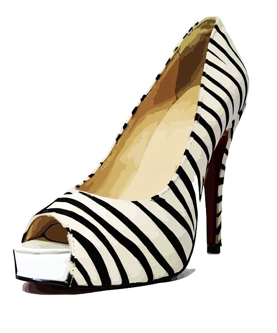Womens fashion accessories zebra sripes high heel shoe clip art