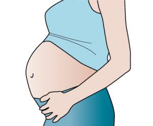 Pregnancy clip art of pregnant women 2