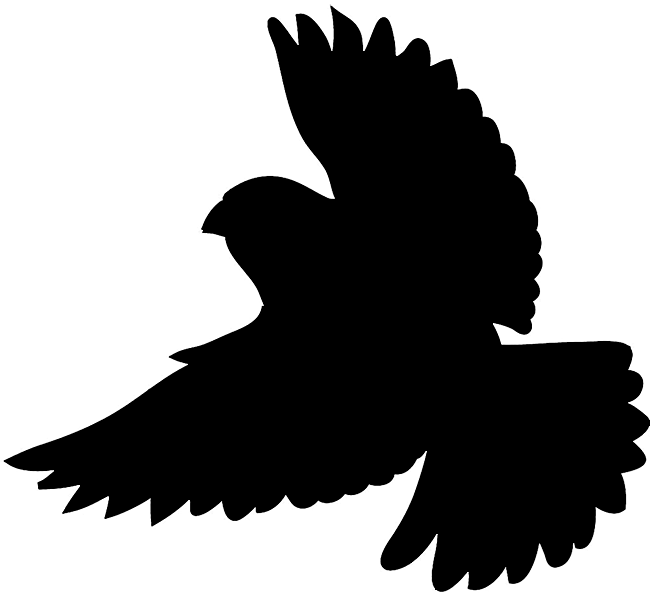 Bird silhouette flying crow silhouette danaspdf top clip art
