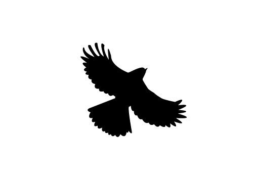 Free flying bird silhouette vector sv stock blog silhouette clip art