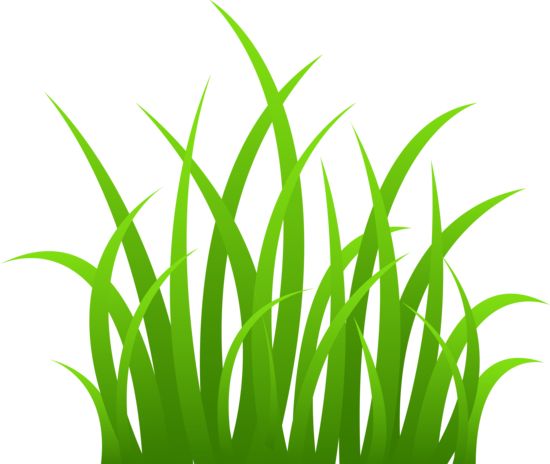 Grass clip art grass on transparent background silhouettes