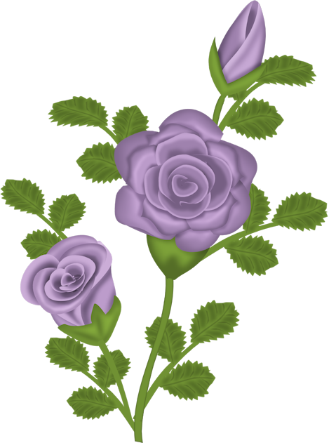 Purple rose transparent clipart 0