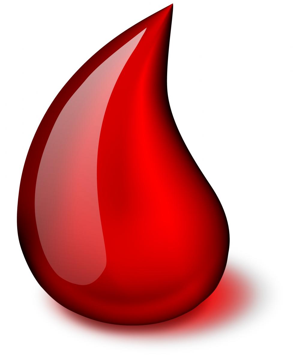 Blood drop drop of blood typta clipart