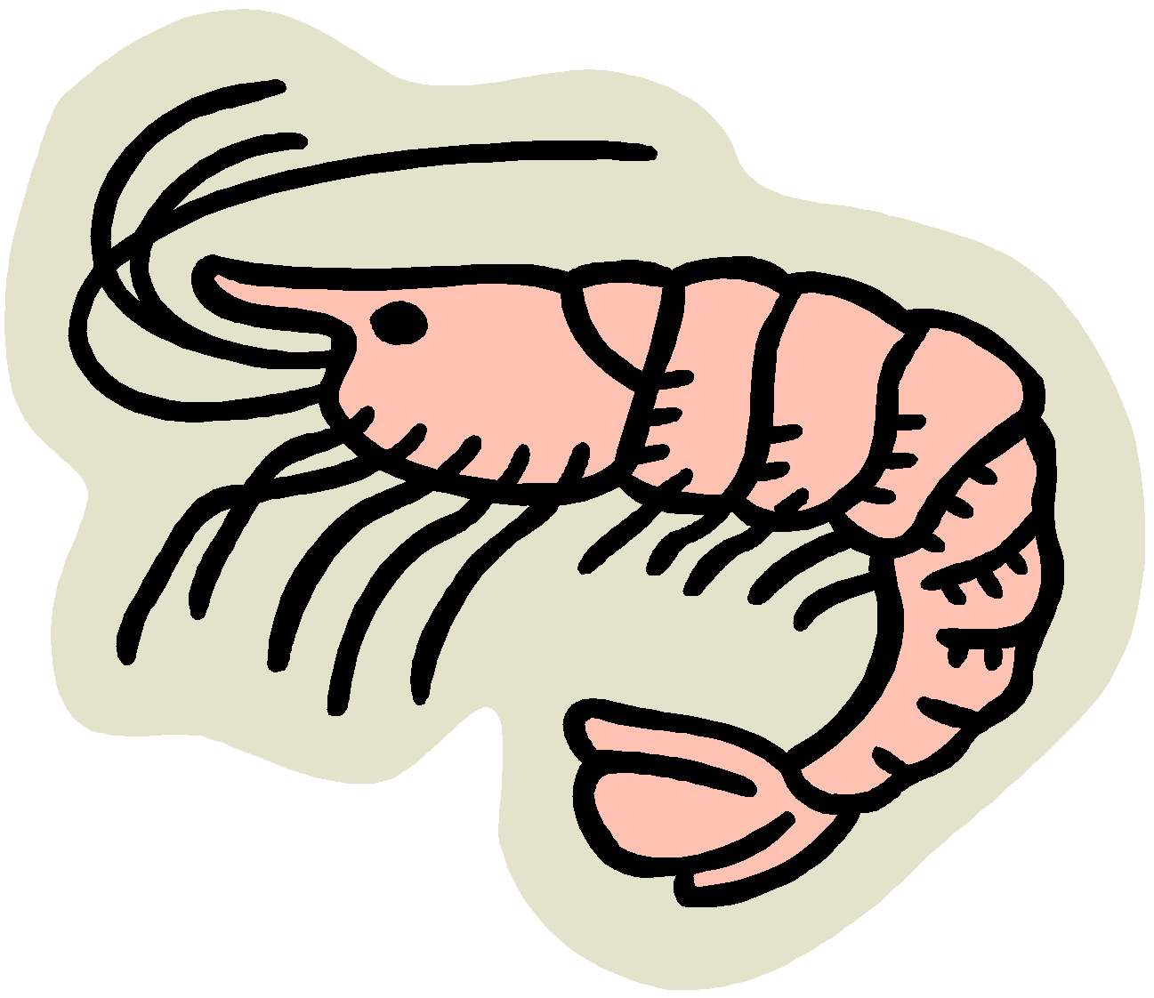 Cooked shrimp clipart free clipart images