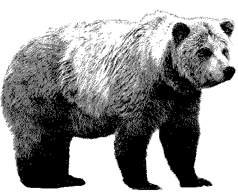 Grizzly bear the world of bears clip art