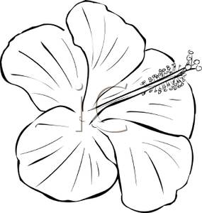 Clipart flower black and white