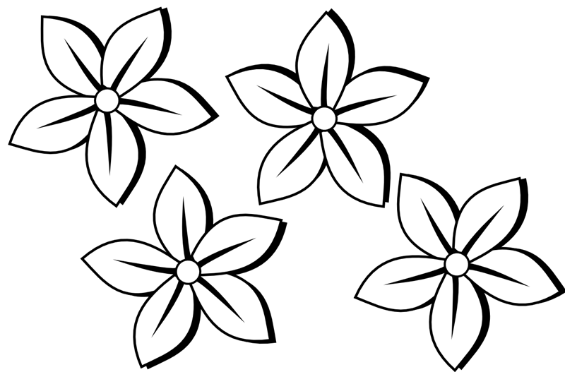 Flower black and white flowers arrangements clipart black and white