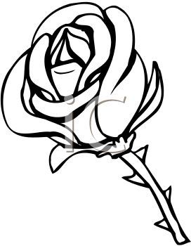 Flower black and white picture of a rose in black and white in a vector clip art