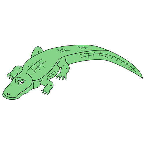 Crocodile clip art drawing free clipart images