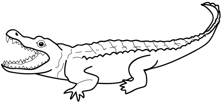 Crocodile clipart black and white free clipart 4