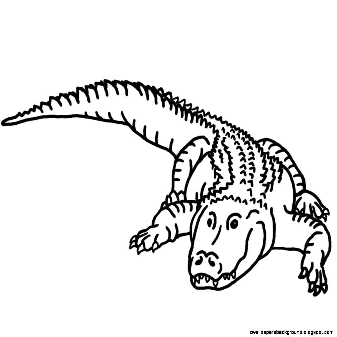 Crocodile clipart black and white wallpapers background