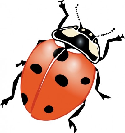 Cartoon insect clip art free vector for free download about