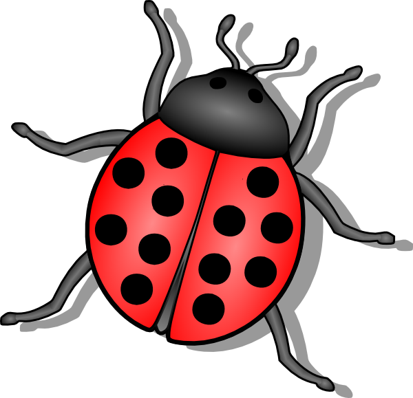 Fly bug insect clip art free vector for free download about image 2