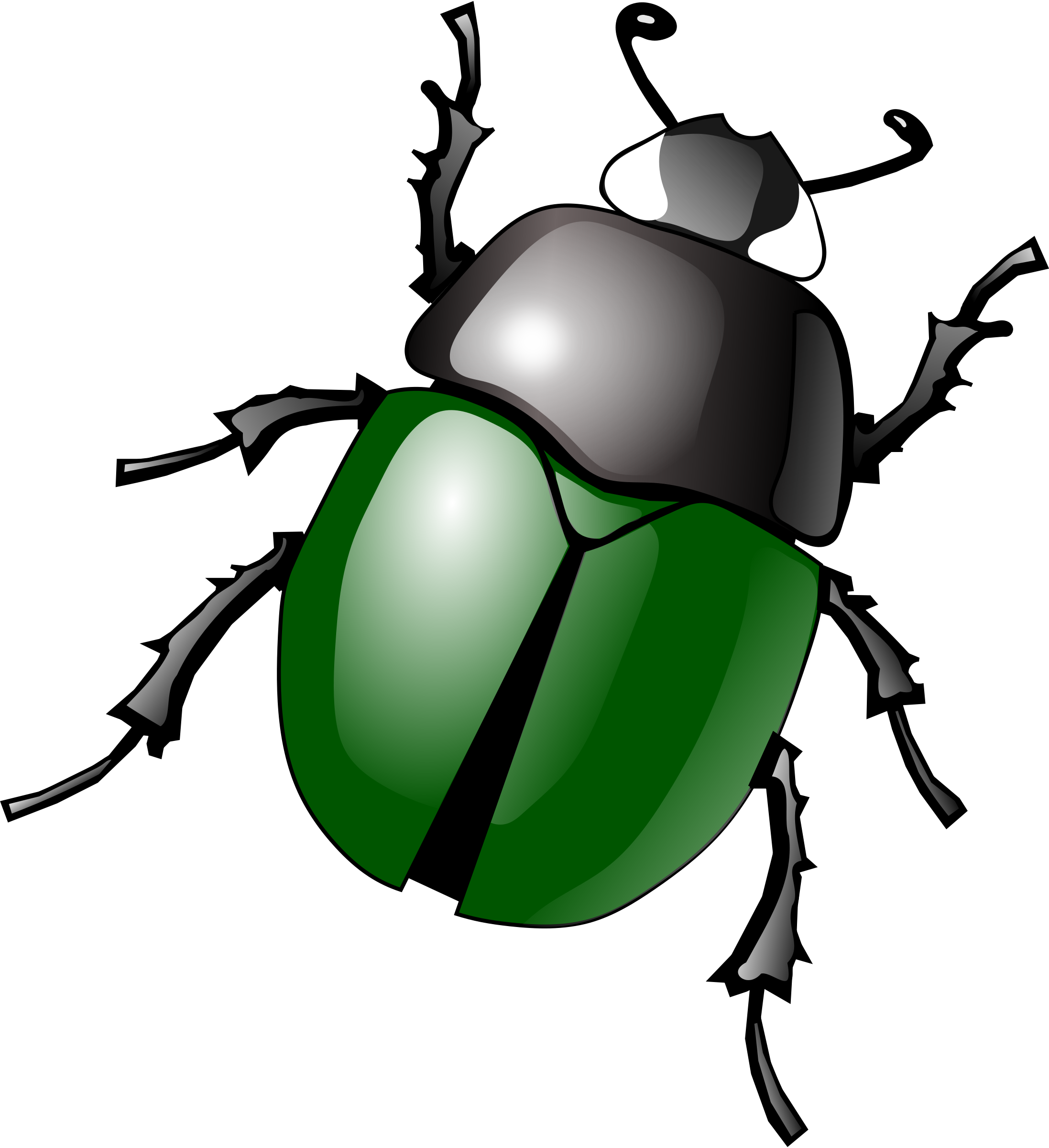Fly bug insect clip art free vector for free download about image