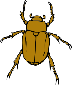 Insect bug clipart 2