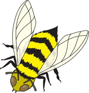 Insect clip art free clipart