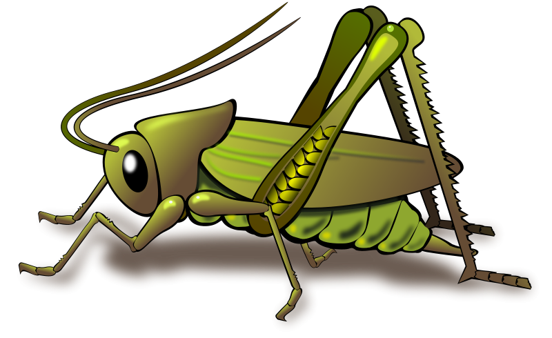 Insect clip art insect clipart photo niceclipart 5