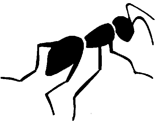 Insect clipart black and white free clipart images 4