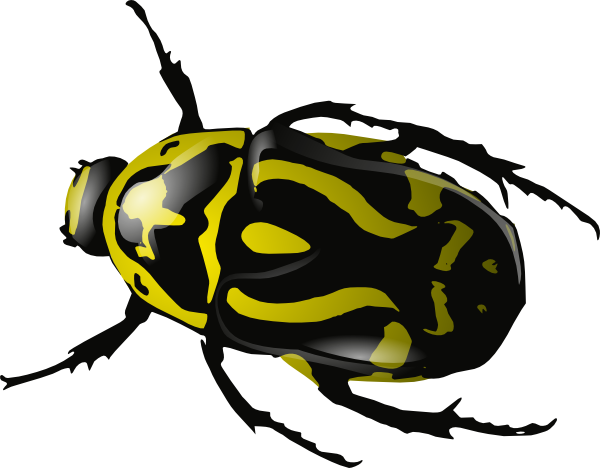 Insect clipart clipart 2