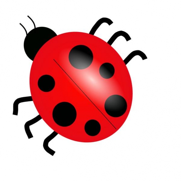 Insect clipart free co