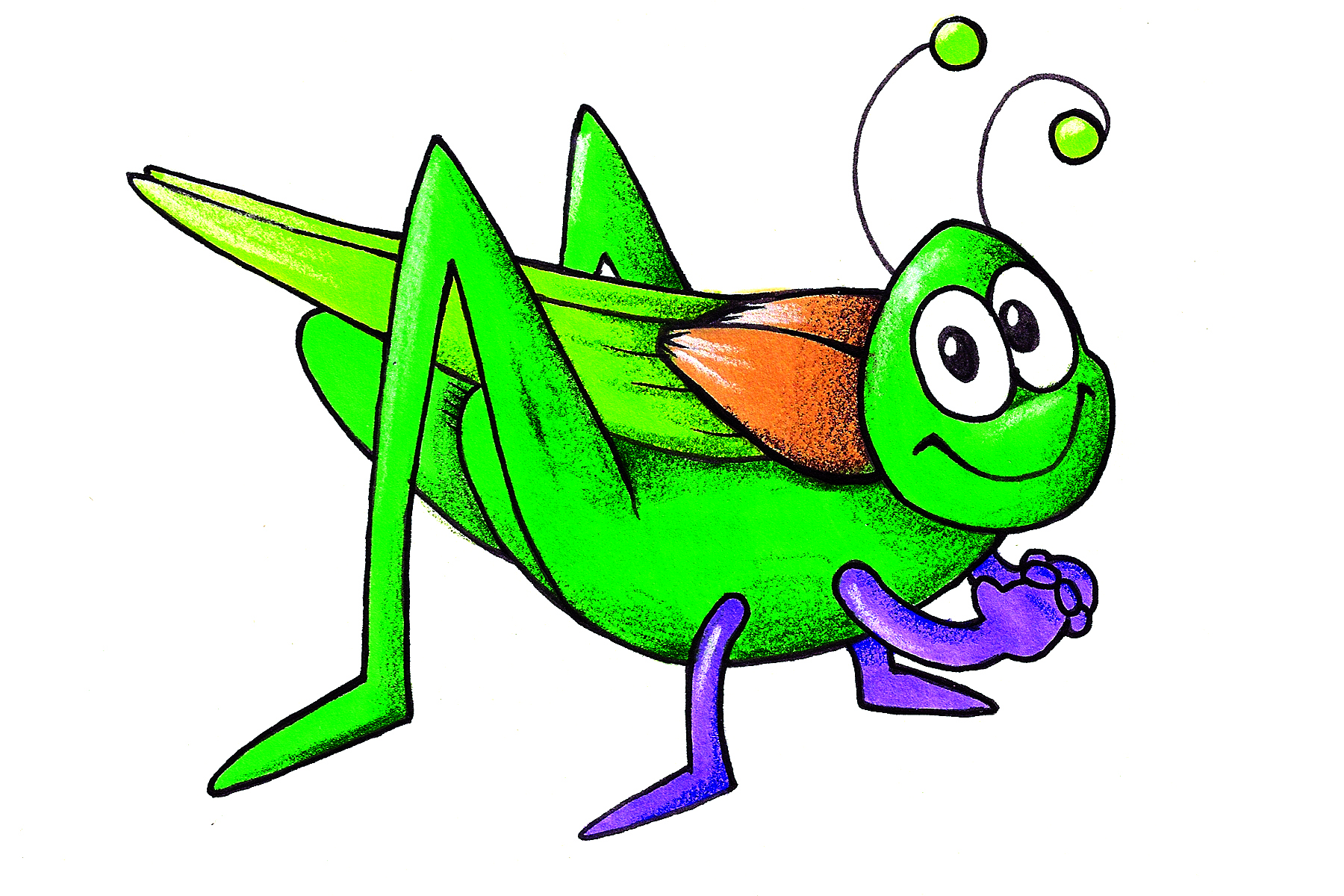 Insect cricket bug clipart