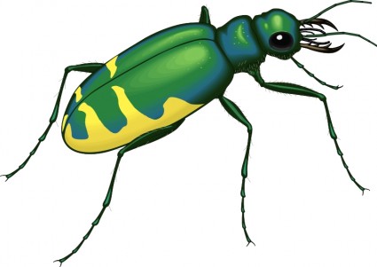 Insect free vector in open office drawing svg svg format clip art
