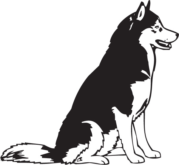 Husky sitting dog breed clip art for custom pet lovers ts