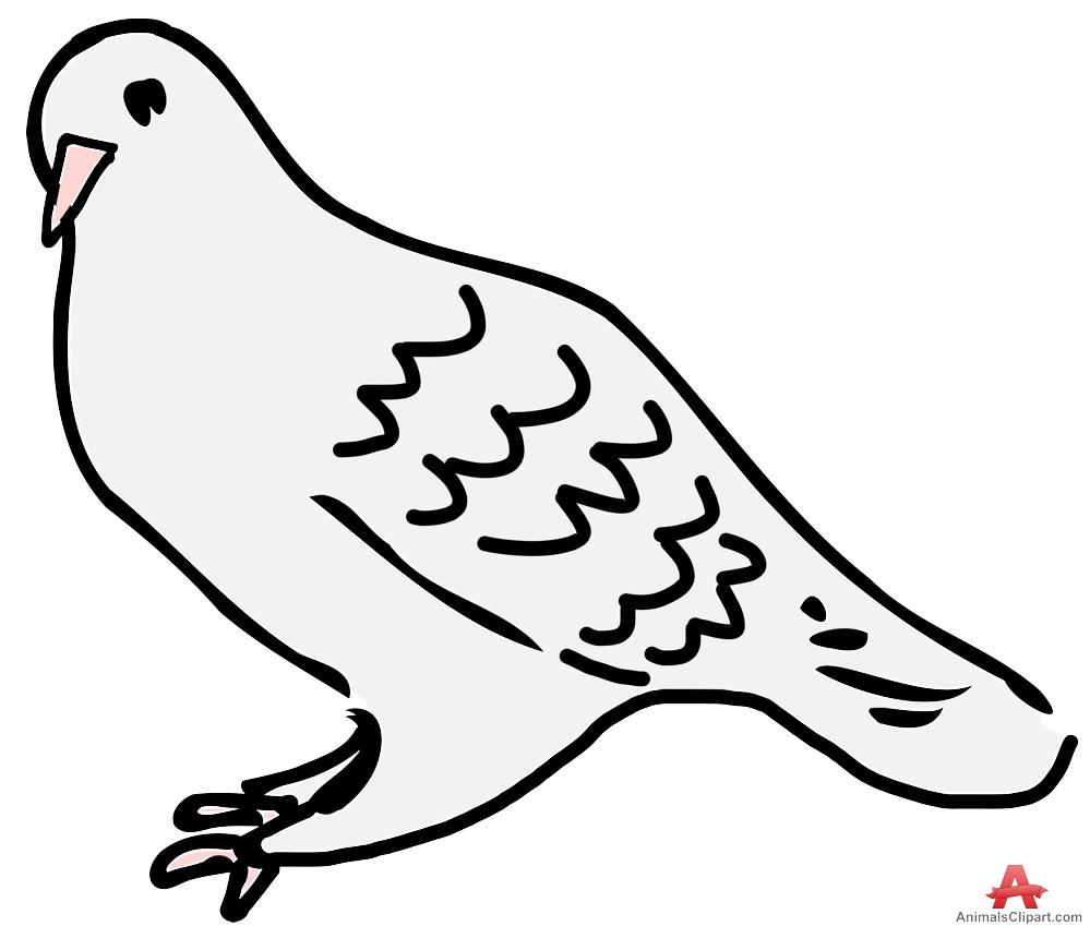 Pigeon clipart bird free clipart design download