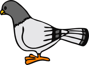 Pigeon clipart free clipart images