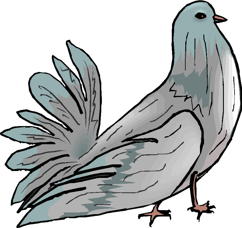 Pigeons clip art 2