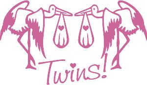 Birth announcement clip art twin girls image to view and