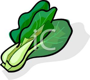 Chinese lettuce clip art