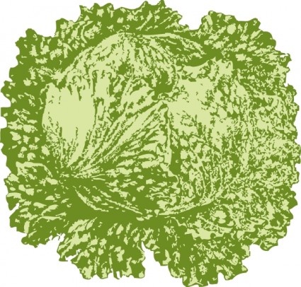 Lettuce clip art free vector in open office drawing svg svg