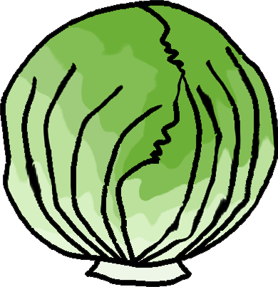 Lettuce clipart black and white free clipart images 3