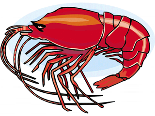 Download seafood clip art free clipart of fish bass shrimp 5