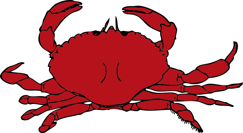 Seafood clipart pictures free clipart images