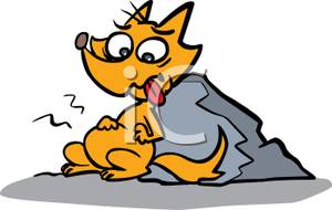 A hungry fox leaning against a rock clipart
