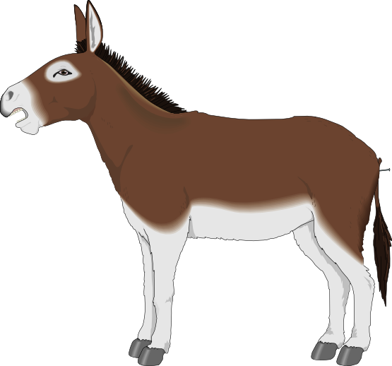 Donkey free to use  clip art