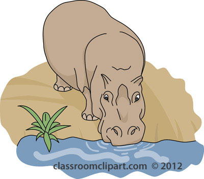 Hippo clipart hippopotamus drinking water 4 clipart