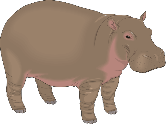 Hippo free to use  clipart 2