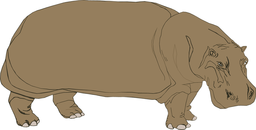Hippopotamus clipart 2