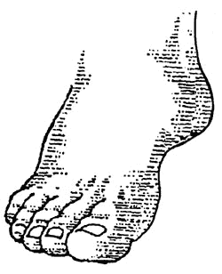 Foot walking feet clip art image