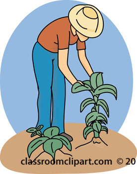 Search results search results for farmer pictures graphics clipart